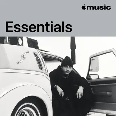 Listen to Van Zee Essentials featuring Van Zee & FRANKIEONTHEGUITAR