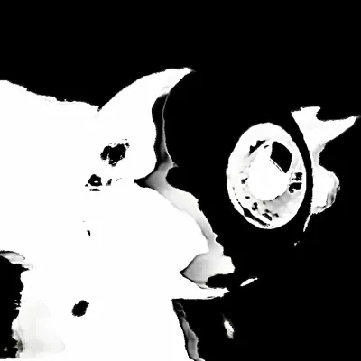 Listen to Tekka guesh, watch music videos, read bio, see tour dates & more!