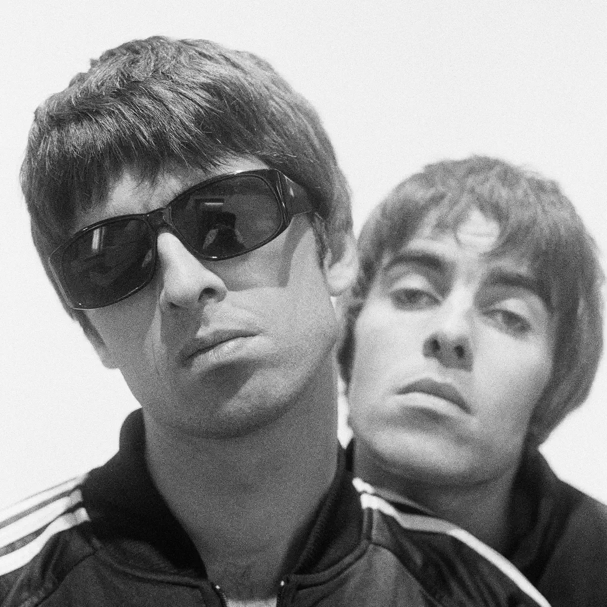 Oasis