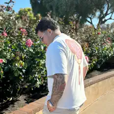 Hör dir PROME PR an, schau dir Musikvideos an, lies die Biografie, finde Tourdaten und mehr!