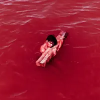 undefined: песни, клипы, биография, даты выступлений и многое другое.