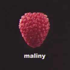 malinyを聴いたり、ミュージックビデオを鑑賞したり、経歴やツアー日程などを確認したりしましょう！