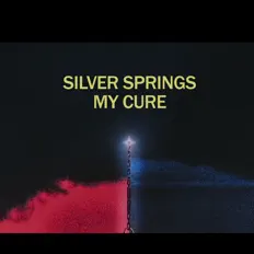 收听 Silver Springs、观看音乐视频、阅读小传、查看巡演日期等 ！