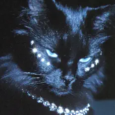 Luister naar HOMIXIDEH!LL, bekijk muziekvideo's, lees de bio, bekijk de tourdata, en meer!