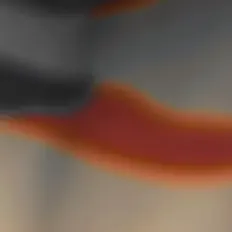 TRÉ을(를) 듣고, 뮤직 비디오를 보고, 약력을 읽고, 투어 일정 등을 확인하세요!