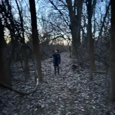 Dengarkan Iam$in, tonton video musik, baca bio, lihat tanggal tur & lainnya!