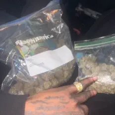 Ouve BreadySince13, vê vídeos de música, lê a biografia, vê as datas da digressão e muito mais!