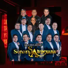 Ascolta Sonora Altepexana la original, guarda video musicali, leggi la biografia, vedi le date del tour & altro!