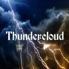 Thundercloudを聴いたり、ミュージックビデオを鑑賞したり、経歴やツアー日程などを確認したりしましょう！
