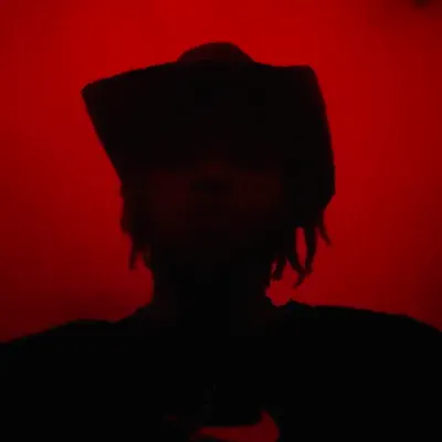 Listen to Davik, watch music videos, read bio, see tour dates & more!