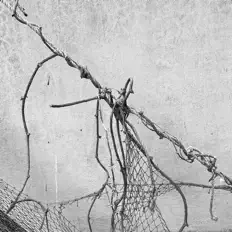 聆聽 Sulk Station、觀看音樂影片、閱讀小傳、查看巡演日期等！