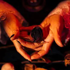 收听 Damon Wong、观看音乐视频、阅读小传、查看巡演日期等 ！