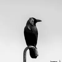 undefined: песни, клипы, биография, даты выступлений и многое другое.