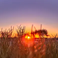 Hör dir 804ZE an, schau dir Musikvideos an, lies die Biografie, finde Tourdaten und mehr!