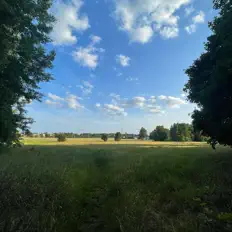 Escucha a Codi, mira videos musicales, lee su biografía, consulta las fechas de las gira y más.