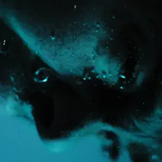 Hör dir THOMVSSE an, schau dir Musikvideos an, lies die Biografie, finde Tourdaten und mehr!