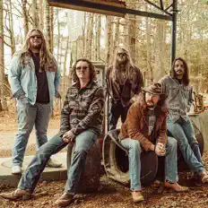 Listen to The Georgia Thunderbolts, watch music videos, read bio, see tour dates & more!