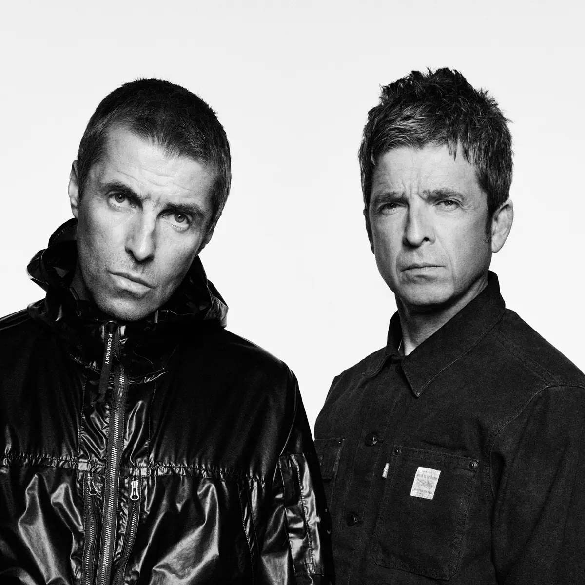 Oasis