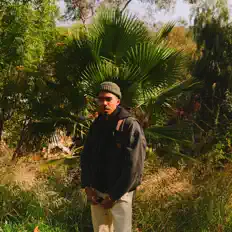 Ascolta TonydaPharaoh, guarda video musicali, leggi la biografia, vedi le date del tour & altro!