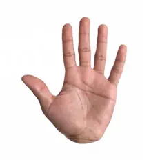 Poslechněte si interpreta Panklima, sledujte hudební videa, přečtěte si životopis, podívejte se na data turné a další informace.