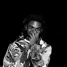 聆聽 BOE Quahh、觀看音樂影片、閱讀小傳、查看巡演日期等！