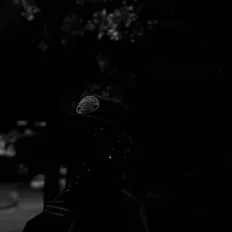 Escucha a 495, mira vídeos musicales, lee la biografía, consulta fechas de giras y mucho más.