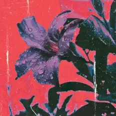 Poslechněte si interpreta TFXXII, sledujte hudební videa, přečtěte si životopis, podívejte se na data turné a další informace.