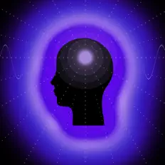 Brainyを聴いたり、ミュージックビデオを鑑賞したり、経歴やツアー日程などを確認したりしましょう！