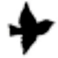 聆聽 undefined、觀看音樂影片、閱讀小傳、查看巡演日期等！