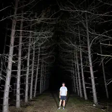 Adam the Addict सुनें, म्यूज़िक वीडियो देखें, बायो पढ़ें, दौरे की तारीखें और बहुत कुछ देखें!