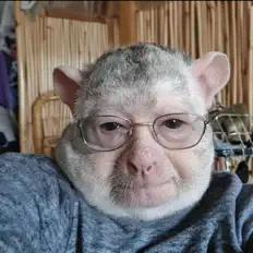 Escucha a ARMPIT TERMITES, mira videos musicales, lee su biografía, consulta las fechas de las gira y más.