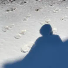 Standing out of nowhere सुनें, म्यूज़िक वीडियो देखें, बायो पढ़ें, दौरे की तारीखें और बहुत कुछ देखें!