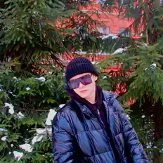 Seiltを聴いたり、ミュージックビデオを鑑賞したり、経歴やツアー日程などを確認したりしましょう！