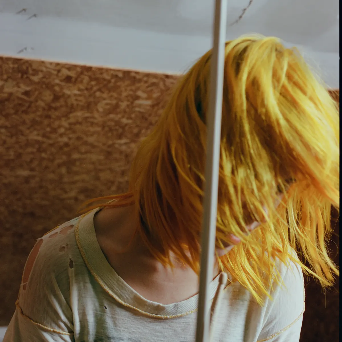 Hayley Williams
