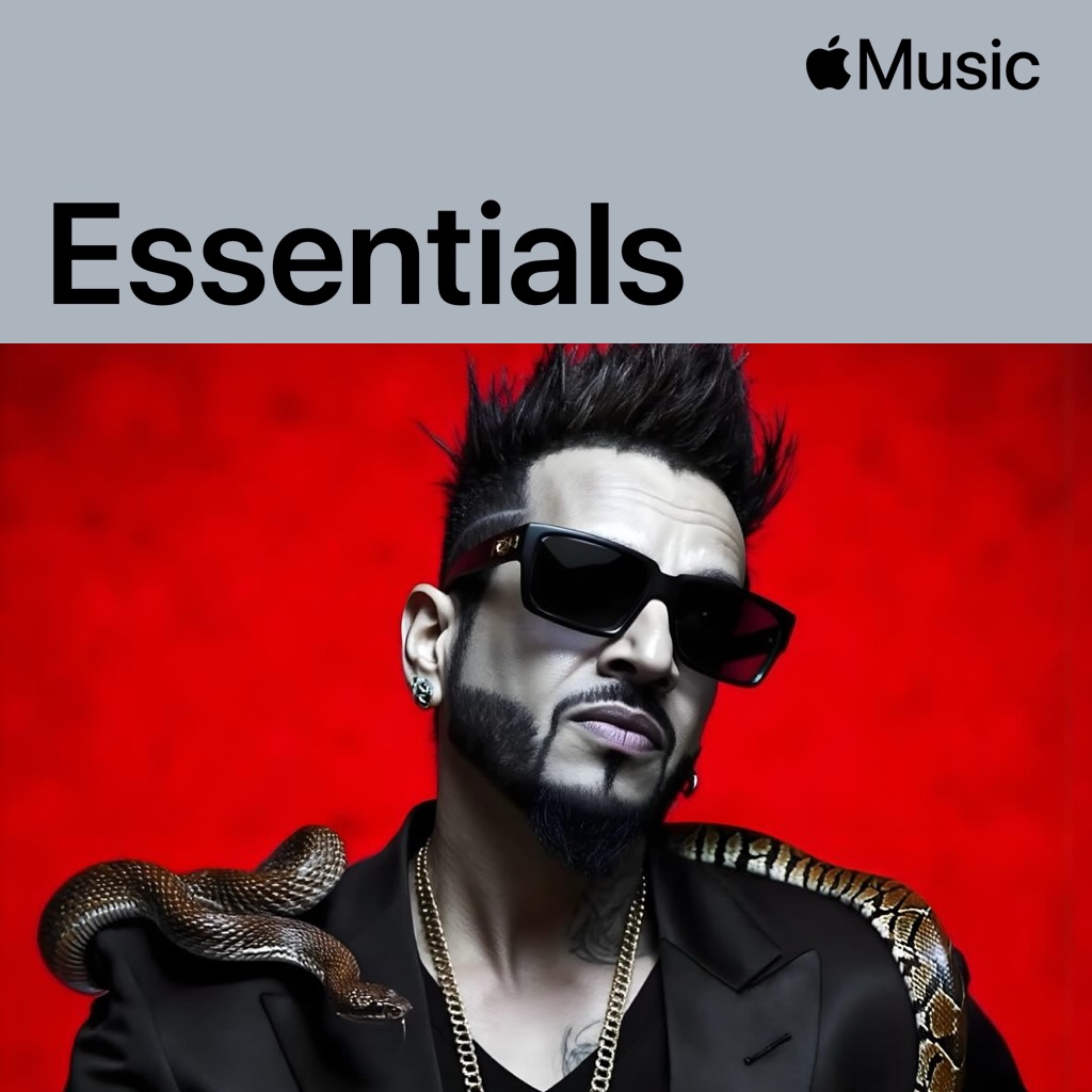 Jazzy B Essentials