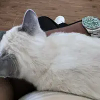 undefined을(를) 듣고, 뮤직 비디오를 보고, 약력을 읽고, 투어 일정 등을 확인하세요!