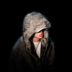 VN22 सुनें, म्यूज़िक वीडियो देखें, बायो पढ़ें, दौरे की तारीखें और बहुत कुछ देखें!