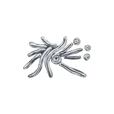 Ακούστε περιεχόμενο από JINGRANG, παρακολουθήστε μουσικά βίντεο, διαβάστε το βιογραφικό, δείτε ημερομηνίες περιοδείας, και πολλά ακόμη!