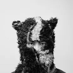 Escucha a HAMELN, mira videos musicales, lee su biografía, consulta las fechas de las gira y más.