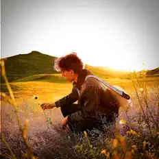 Dengarkan Animo Flore, tonton video musik, baca bio, lihat tanggal tur & lainnya!