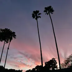 Écoutez kyotobeamer, regardez des vidéoclips, lisez la biographie, consultez les dates de tournée et plus encore !