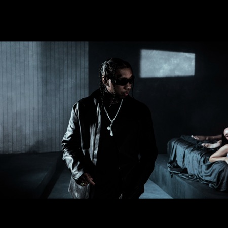 Tyga artwork