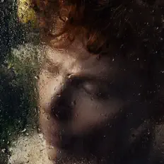 聆聽 Birds of Bellwoods、觀看音樂影片、閱讀小傳、查看巡演日期等！