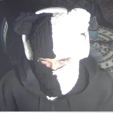 收听 idrel、观看音乐视频、阅读小传、查看巡演日期等 ！