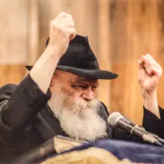 דעם רבינ'ס קאפיטלを聴いたり、ミュージックビデオを鑑賞したり、経歴やツアー日程などを確認したりしましょう！