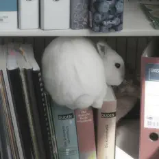 Ascolta Dgtl, guarda video musicali, leggi la biografia, vedi le date del tour & altro!