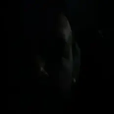 收听 Argonauta、观看音乐视频、阅读小传、查看巡演日期等 ！