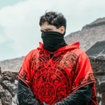 Bagha