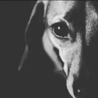 Posłuchaj wykonawcy undefined, obejrzyj teledyski, przeczytaj biografię, zobacz daty tras koncertowych i nie tylko!