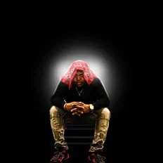 NFL Fatを聴いたり、ミュージックビデオを鑑賞したり、経歴やツアー日程などを確認したりしましょう！